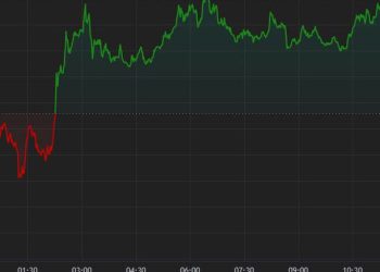 特朗普发表 BTC 2024 演讲后比特币上涨