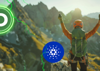 加密机器人识别出鲸鱼正在积累的新 ERC-20 代币,可能就像以 100 美元的价格购买 ETH 一样