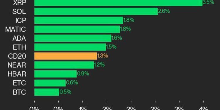 CoinDesk 20 表现更新：XRP 和 SOL 表现优异，指数上涨 1.3%
