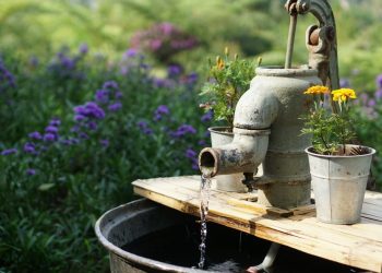 Token Launchpad Pump.Fun 以每日 200 万美元的收入超越以太坊区块链,占据第一的位置