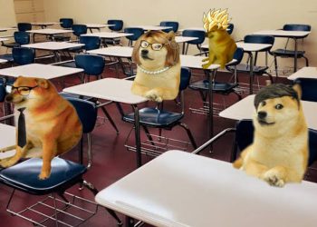 Floki Inu 将在印度建造学校，FLOKI 价格有望达到 17 美元