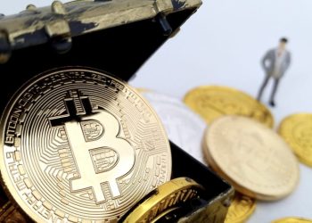 中本聪时代的鲸鱼搅动加密货币领域