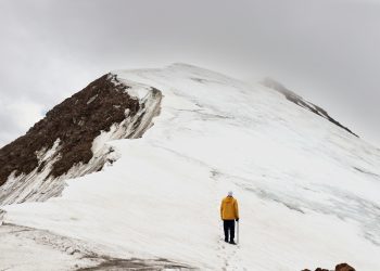 暴跌后目标是收复 0.50 美元