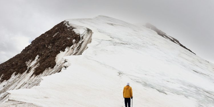 暴跌后目标是收复 0.50 美元