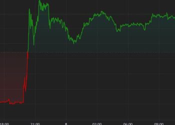 美洲先行者:加密货币价格变化不大,XRP 飙升
