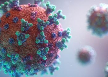 医疗数据公司 OneMedNet 在融资后最新推行比特币财务战略