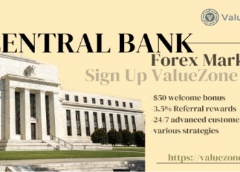 中央银行和政府如何影响外汇市场?