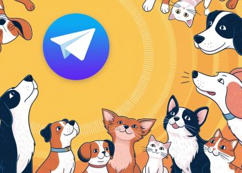 SUN 和 DOGS 等 Telegram Meme Coin 受到 Solana 的关注