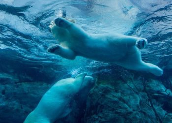 比特币较周三早盘高点下跌逾 6%