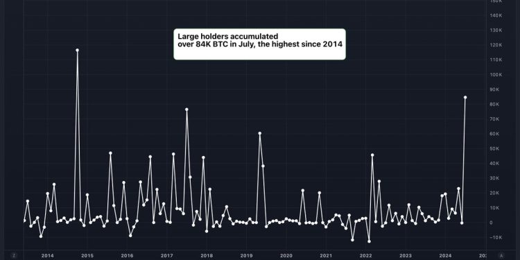数据显示，大型比特币 (BTC) 持有者 7 月份新增 54 亿美元 BTC