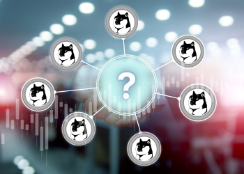 到 2025 年初,花 250 美元购买这 3 个狗狗币杀手将为您带来 60,000 美元