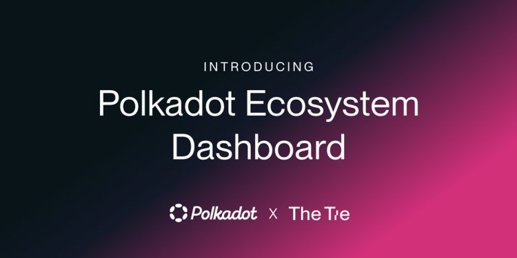 The Tie 在 The Tie 终端上推出 Polkadot 生态系统仪表板