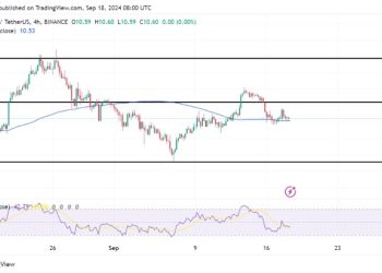 公牛队能否卷土重来?