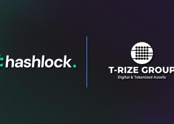 Hashlock 审计了 T-Rize 集团的突破性去中心化配置文件智能合约及其 Rizenet 治理代币（“RIZE”）智能合约。