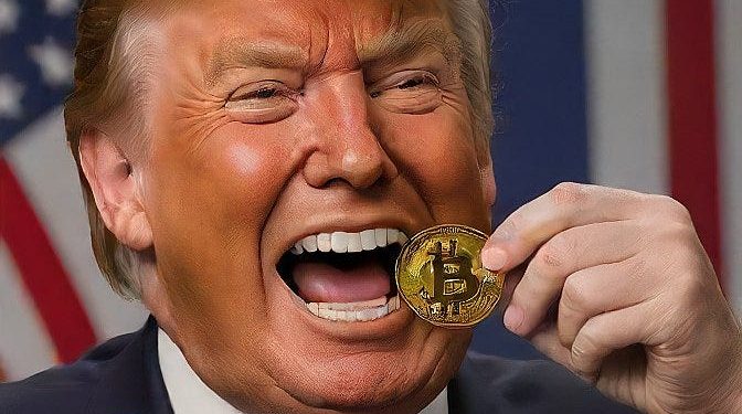 NFT 特朗普。特朗普检查比特币 NFT |通过 1inch Exchange | NFT 市场 | 2024 年 10 月