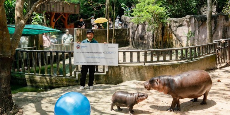 SUI meme $HIPPO 与 Moo Deng 动物园建立慈善合作伙伴关系