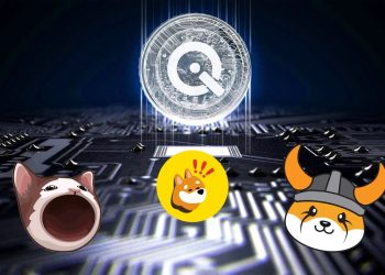 分析师表示,忘掉 BONK、FLOKI 和 POPCAT 等 Meme 币吧,“改为购买 WallitIQ (WLTQ)”