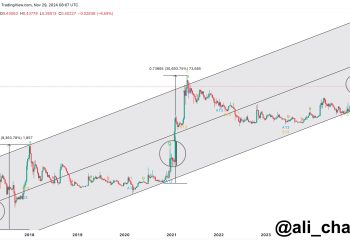 狗狗币 TD 卖出信号消失,但这就是抛物线牛市仍能持续的原因