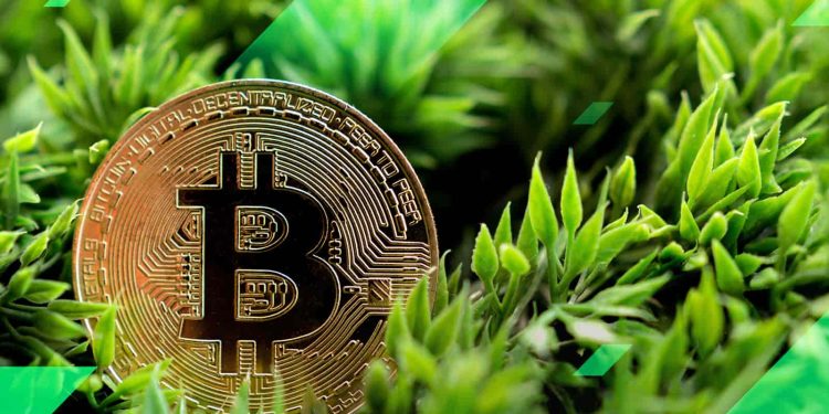 AILayer 和 Taker Protocol 合作彻底改变比特币生态系统