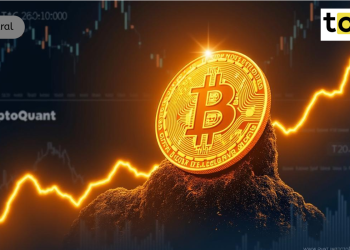 CryptoQuant 分析表明，比特币的增长尚未结束