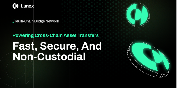 FLOKI 领先,NEIRO 暴跌,投资者为何转向这种实用型代币