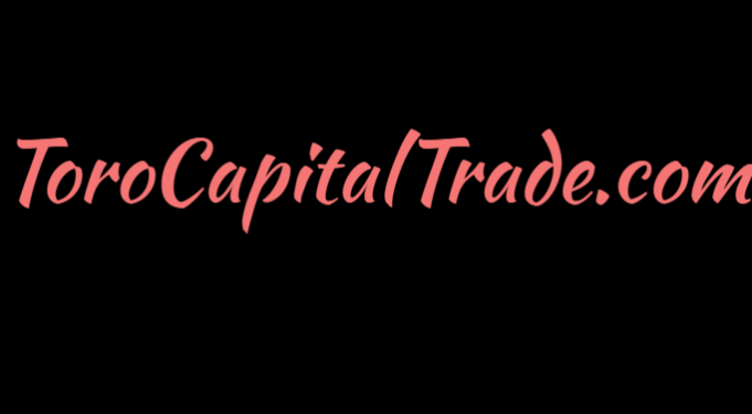 Toro Capital Trade 提高了数字金融的标准