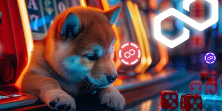 市场对 Polkadot 和 2025 年 Stellar 反弹持积极态度。 Rollblock 可能会超过两者