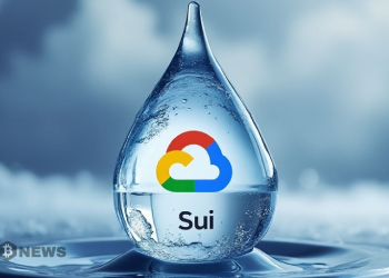 Sui 与 Google Cloud 集成以实现实时数据访问