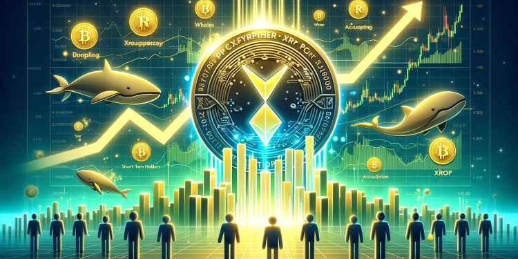 XRP 触及 6 年新高——鲸鱼和 STH 共同吸纳