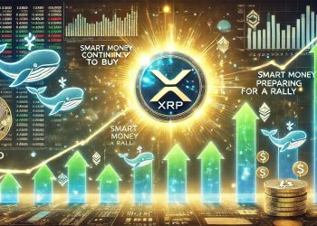 XRP 鲸鱼继续买入——数据显示聪明的资金正在为反弹做好准备