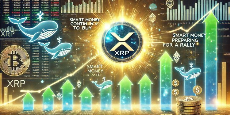 XRP 鲸鱼继续买入——数据显示聪明的资金正在为反弹做好准备