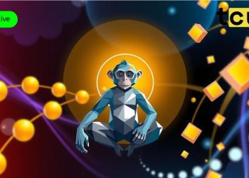 Aird 宣布 Wise Monkey 代币在 BNB 链上推出