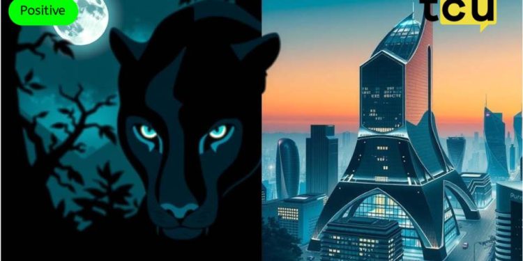 Panther Protocol 和 PureFi 联手提升行业隐私和合规性