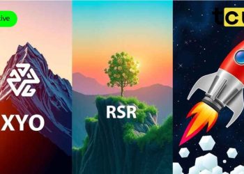 加密货币市场飙升：XYO、XVG、RSR 领先