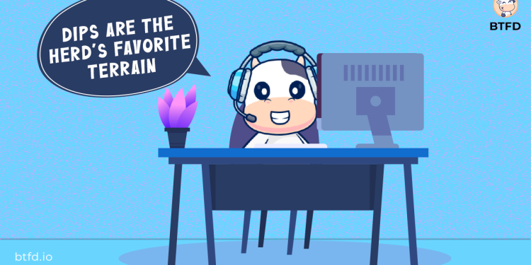 BTFD 代币主导了投资者的讨论,而 Floki Inu 和 Bonk Promise 则上涨