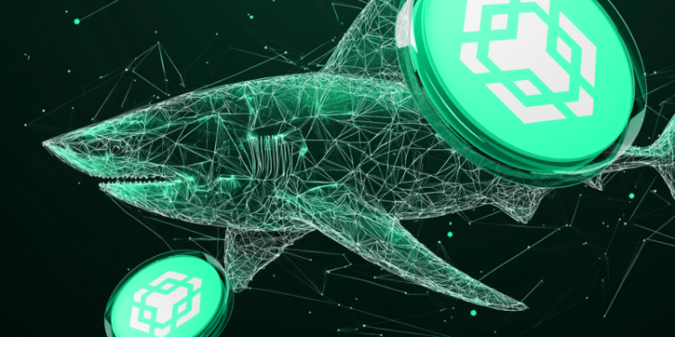 特朗普政府将如何影响 BNB、Uniswap 和 Lunex Network?