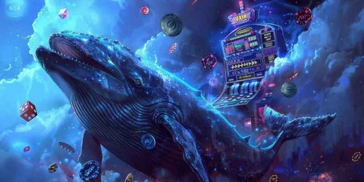 这次牛市从未有过更好的时刻:Stellar、Solana 和热门的新型加密货币 Rollblock 如何改变您的生活