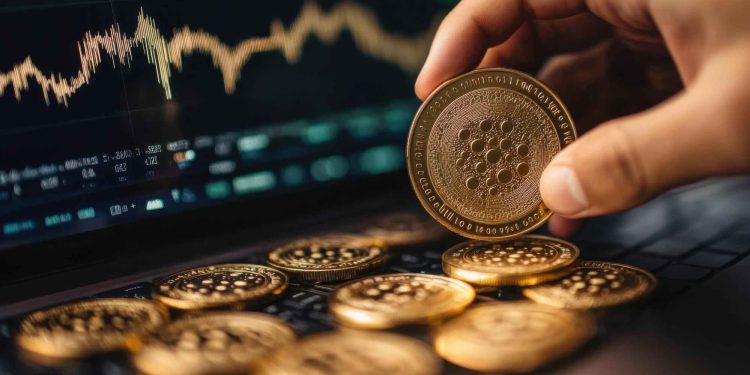 关注百万富翁：鲸鱼今年 12 月寄希望于的 3 种加密货币
