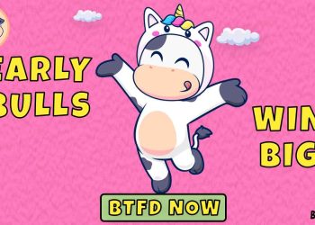 BTFD 硬币、Bonk 和 Dogwifhat