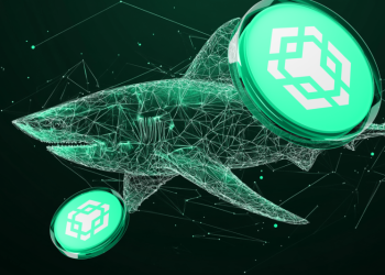 SUI Network $33B 里程碑:这就是鲸鱼在抛售币安币后购买这个 0.0036 美元代币的原因