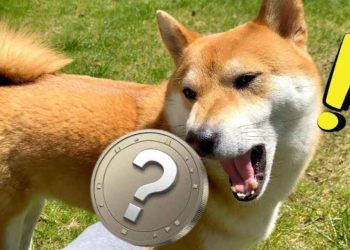 超越 DOGE 和 SHIB:5 个 Memecoin 将以 16,000% 的投资回报率飙升