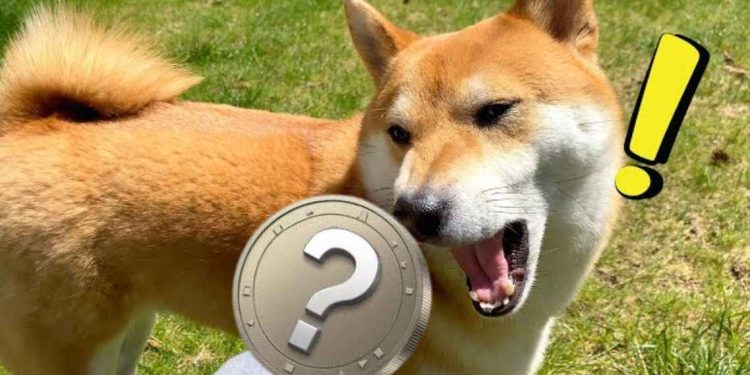 超越 DOGE 和 SHIB：5 个 Memecoin 将以 16,000% 的投资回报率飙升