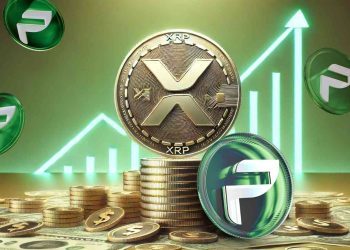 Ripple Whales 积累了一种竞争对手的山寨币,预计 2025 年第一季度收益将达到 22,405%