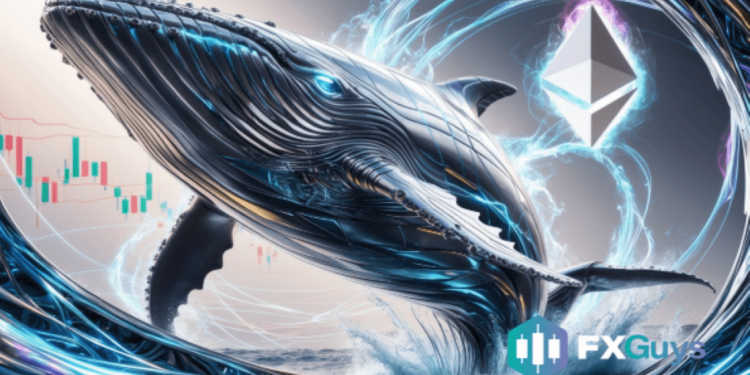 忘记 Bonk 和 Dogwifhat:这种代币正在成为鲸鱼的新宠