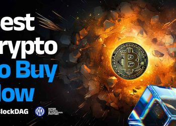 关于 BDAG、BNB、SOL 等的见解