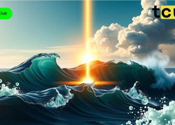 在市场低迷的情况下,Ripple 的 XRP 转账金额达到创纪录的 6.82 亿美元