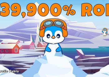 Arctic Pablo、Notcoin 和 Pudgy Penguins – 巨大的投资回报率和年收益