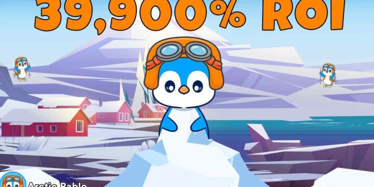 Arctic Pablo、Notcoin 和 Pudgy Penguins – 巨大的投资回报率和年收益
