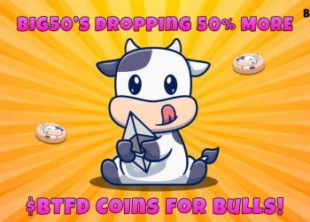BTFD Coin、Shiba Inu 和 Bonk 正在成为目前最值得投资的 Meme 代币