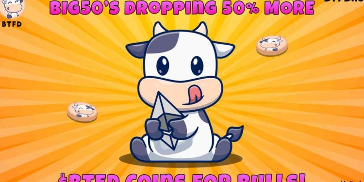 BTFD Coin、Shiba Inu 和 Bonk 正在成为目前最值得投资的 Meme 代币